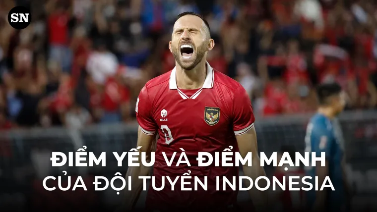 Ilija Spasojevic Indonesia Brunei AFF Cup 122822