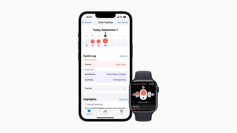 Apple Watch Series 8. Photo: Apple